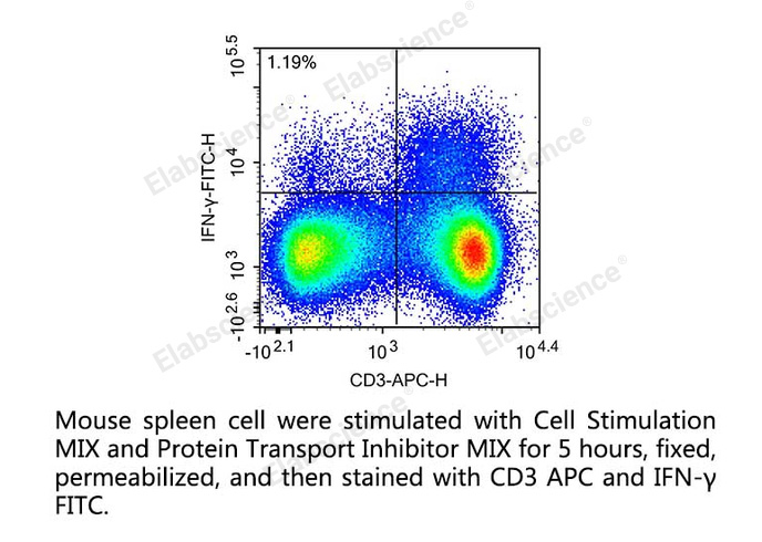 细胞因子激活和蛋白阻断试剂盒