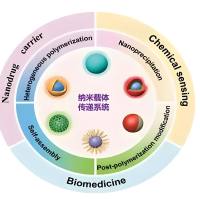 PLGA纳米粒被中性粒细胞膜包裹