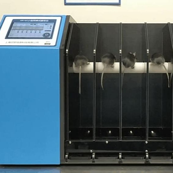 转棒训练实验 | 动物行为学实验