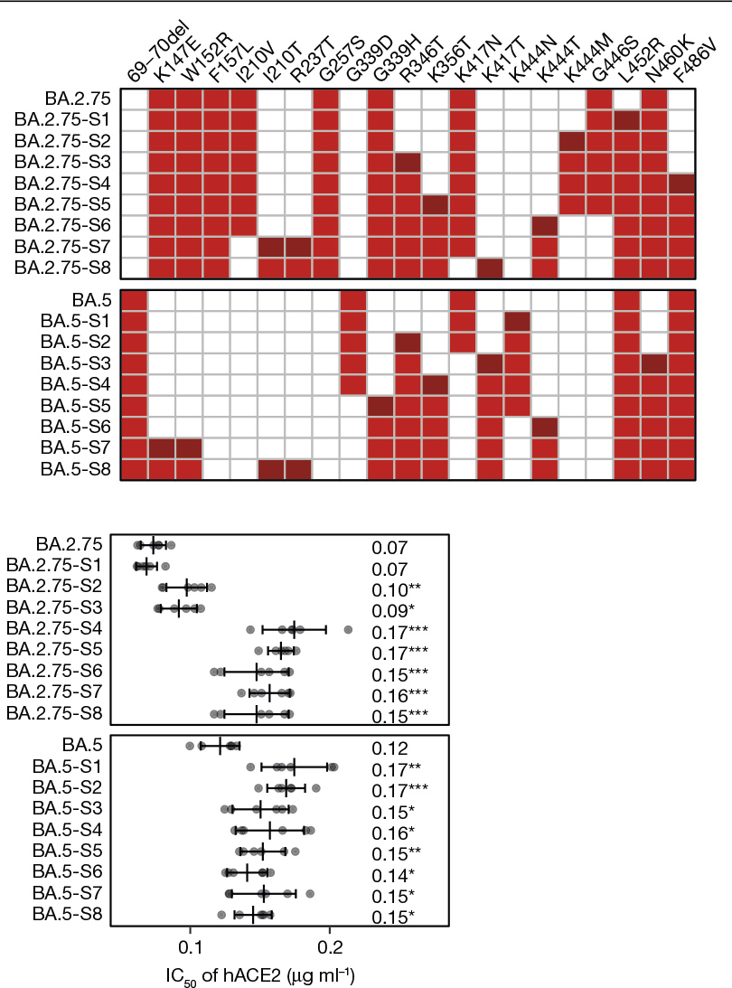 Nature五连发，90后博导曹云龙持续关注新冠病毒突变株特征及其免疫逃逸机制