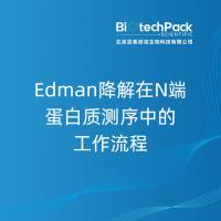 Edman降解在N端蛋白质测序中的工作流程