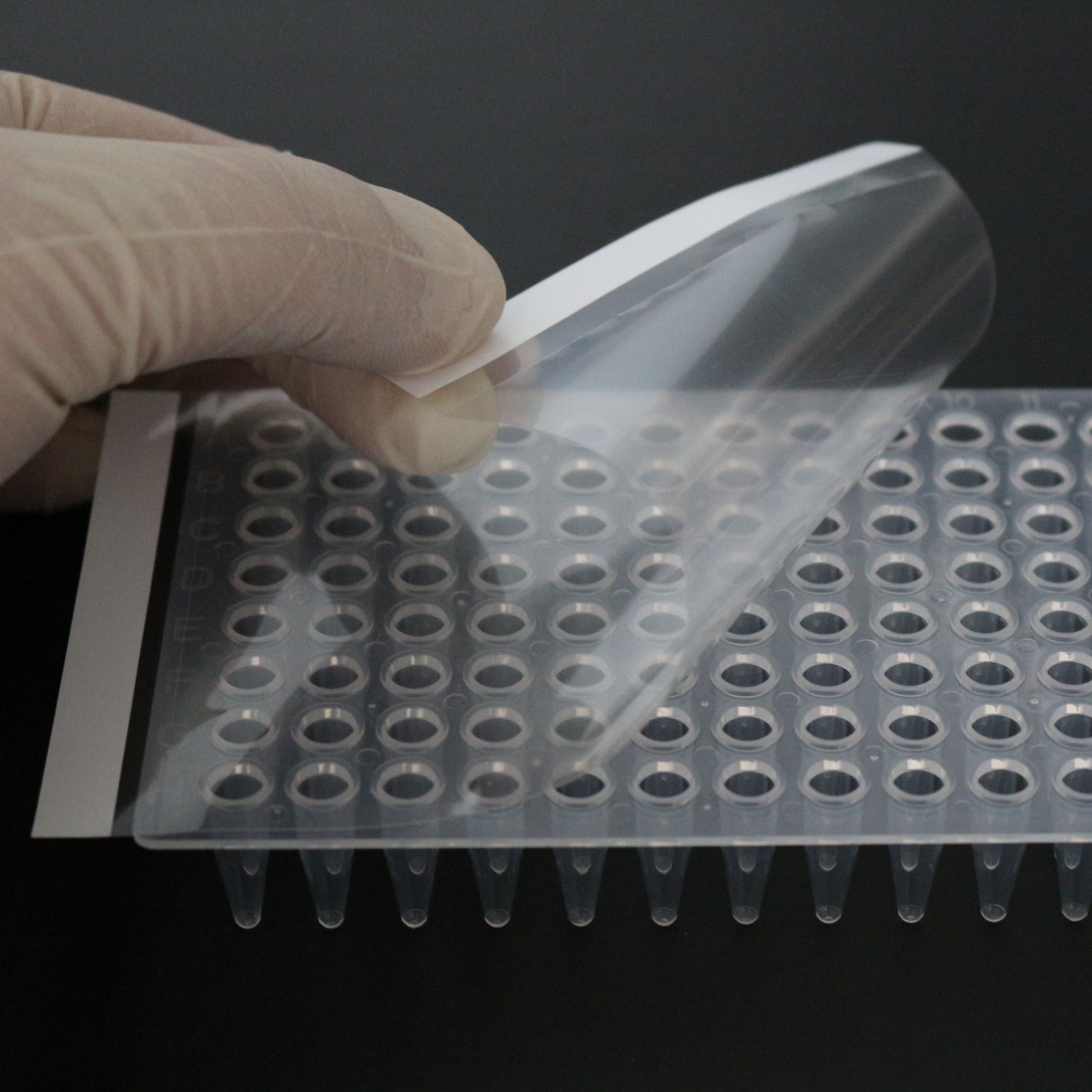 PCR压敏光学封板膜(封板膜定制)