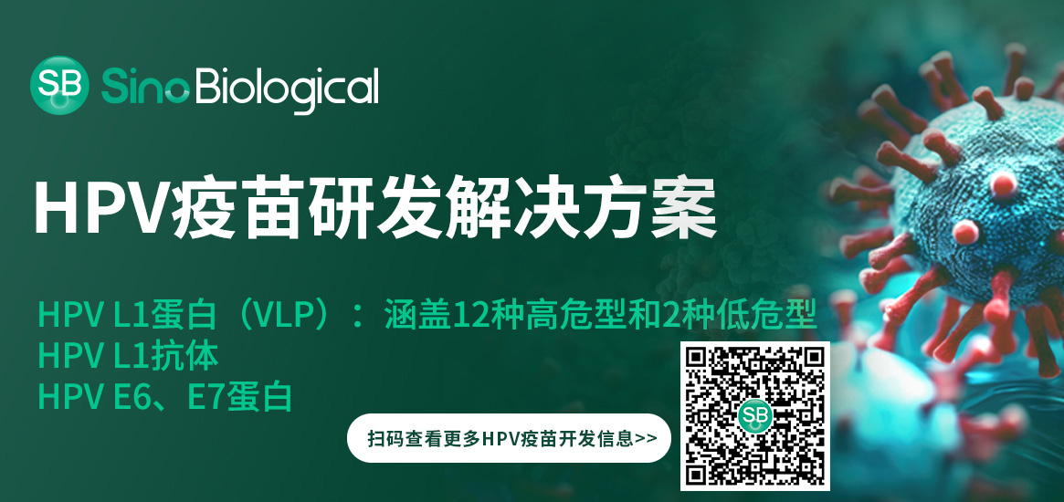 万泰生物计划把HPV疫苗卖给男人了！速来看看这个HPV疫苗解决方案