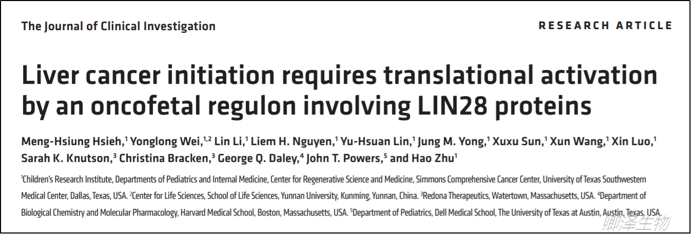 J Clin Invest. | Polysome技术助力揭示LIN28调控肝脏肿瘤的新机制