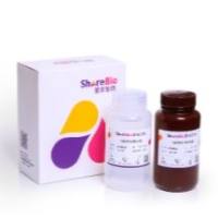 飞敏™型ECL发光液