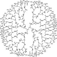 α-生育酚琥珀酸酯（α-TOS）和TNF-α siRNA载入聚酰胺树枝状聚合物包载的金纳米颗粒（Au DENPs）