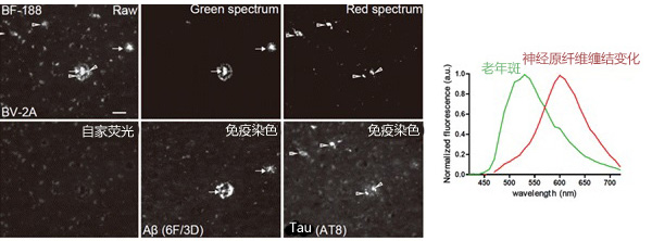 0114805721246178.jpg 0114805721246178.jpg
