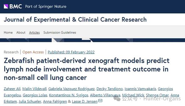 IF=11.4丨JECCR：患者来源的斑马鱼异种移植模型预测非小细胞肺癌的淋巴结转移和治疗效果