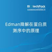 Edman降解在蛋白质测序中的原理