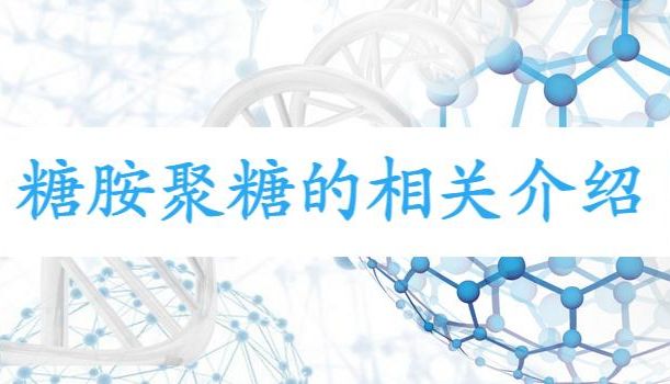 糖胺聚糖的相关介绍