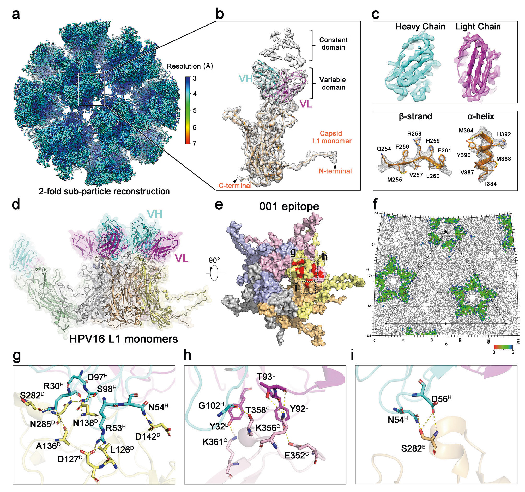 万泰生物计划把HPV疫苗卖给男人了！速来看看这个HPV疫苗解决方案
