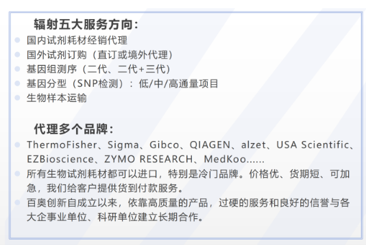 Mouse  B7-1/CD80 Monoclonal An