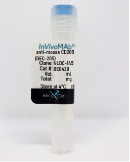 InVivoMAb抗小鼠CD205（DEC-205）现货促销啦