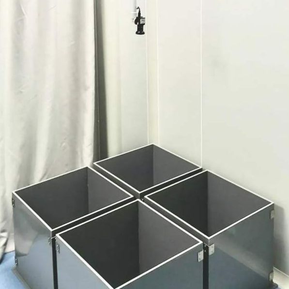 旷场实验 | 动物行为学实验 