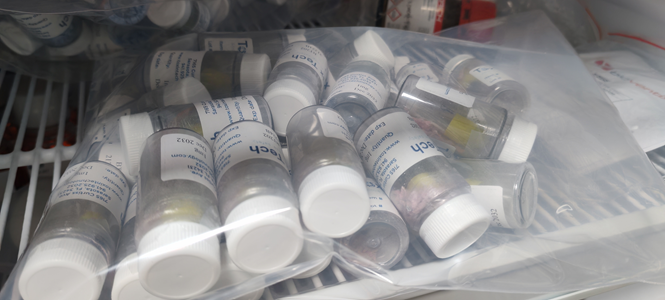 Toxin Tech葡萄球菌肠毒素SEB产品说明书