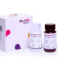 基本型ECL发光液