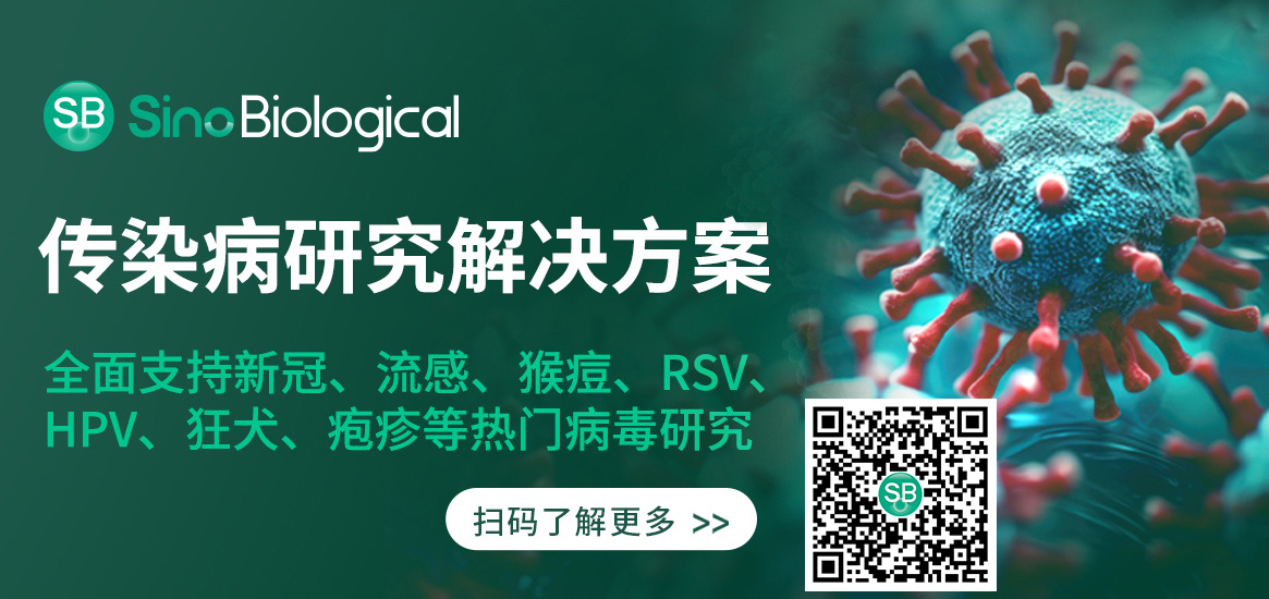 Nature五连发，90后博导曹云龙持续关注新冠病毒突变株特征及其免疫逃逸机制