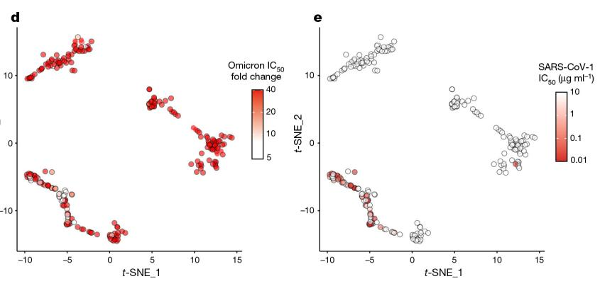 Nature五连发，90后博导曹云龙持续关注新冠病毒突变株特征及其免疫逃逸机制
