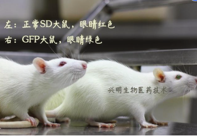 公司介绍图片1
