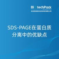 SDS-PAGE在蛋白质分离中的优缺点