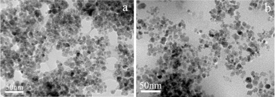 磁性微球的独特性能与应用潜力