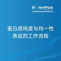 蛋白质纯度与均一性表征的工作流程