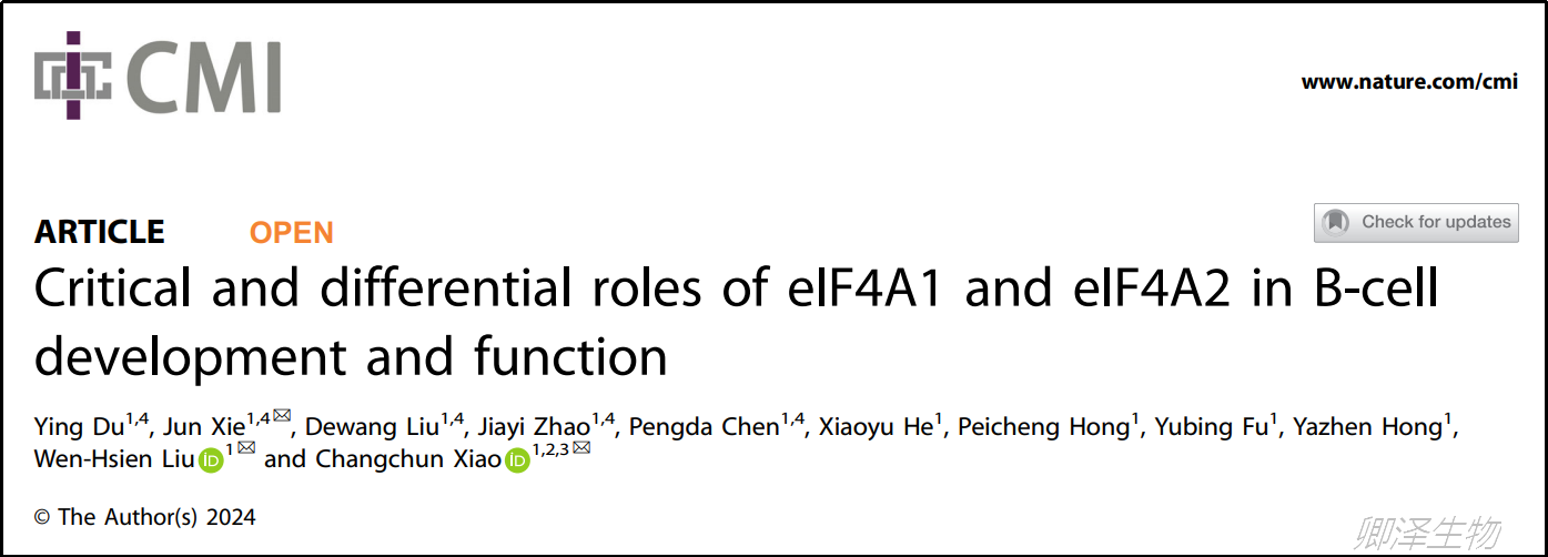 Cell Mol Immunol. | Polysome技术助力揭示eIF4A异构体的作用新机制