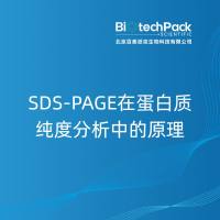 SDS-PAGE在蛋白质纯度分析中的原理