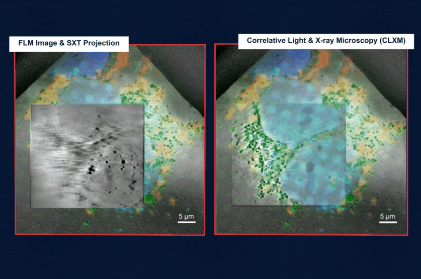 软X射线细胞结构显微镜——SXT-100