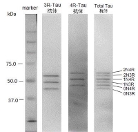 2217032118985948.jpg 图12.jpg