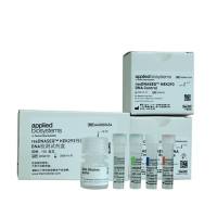 赛默飞  A40000654  qPCR定量检测试剂盒