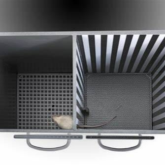 条件性位置偏爱实验系统 | 动物行为学