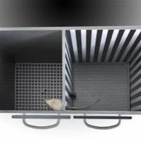 条件性位置偏爱实验系统 | 动物行为学