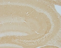 2117031457127555.jpg 图5.jpg