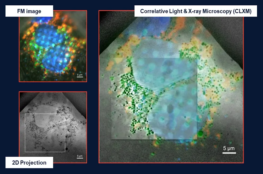 软X射线细胞结构显微镜——SXT-100