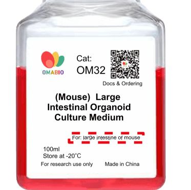 小鼠大肠类器官培养基