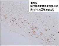 2217032171693440.jpg 图8(200px).jpg