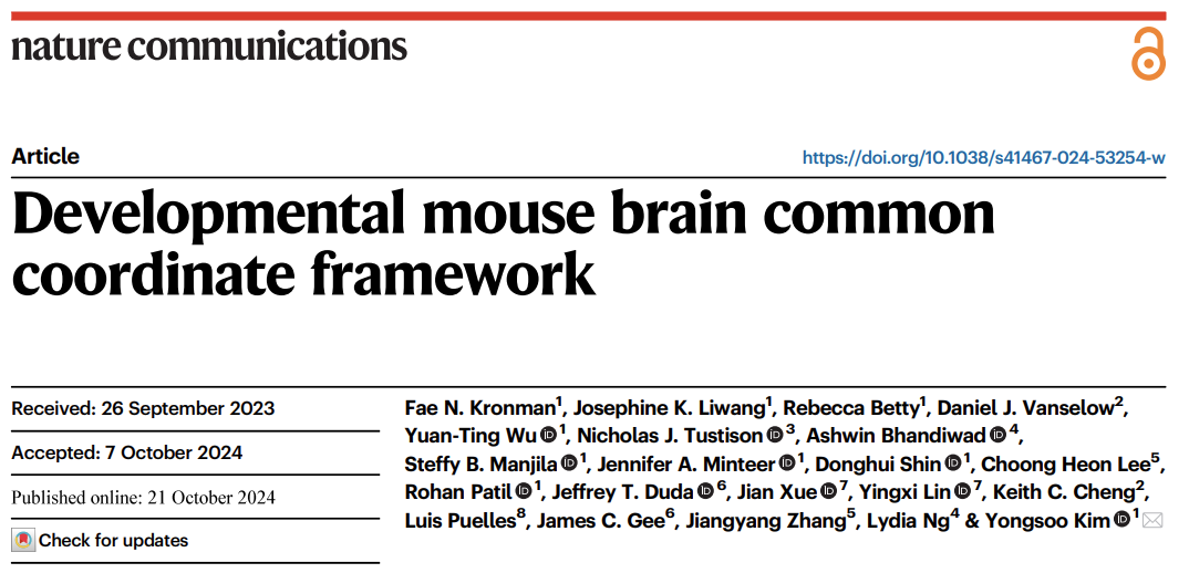 Nature communications | 神经科学革命性新工具——绘制不同发育阶段小鼠全脑三维脑图谱（DevCCF）