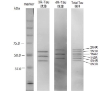 2217032121948707.jpg 图13.jpg