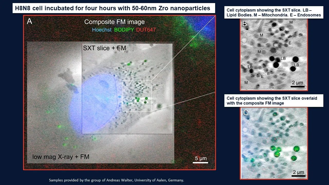 软X射线细胞结构显微镜——SXT-100