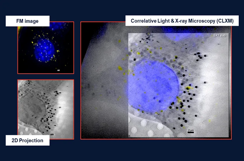 软X射线细胞结构显微镜——SXT-100