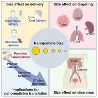 酰肼化HA-BSA纳米粒包载药物顺铂（CDDP）和光敏剂吲哚菁绿（ICG）