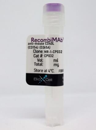 RecombiMAb抗鼠CD 40 L(CD 154)(D265 A)火热促销
