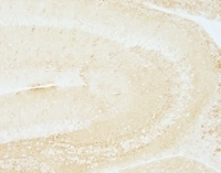 2117031465274013.jpg 图6.jpg