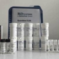 Recombinant Human Cardiotrophin-1 (CT-1) Protein