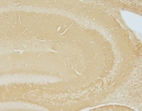 2117031508061388.jpg 图7.jpg