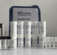 Recombinant Human Butyrylcholinesterase/BCHE