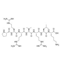 2088834-66-4 | PRRVRLK | 多肽连接子 | H2N-Pro-Arg-Arg-Val-Arg-Leu-Lys-OH