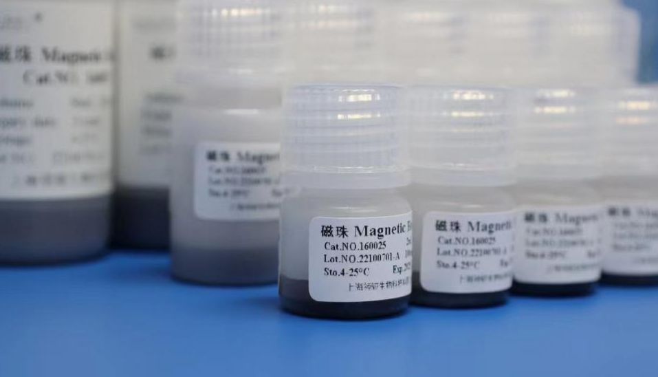 浅析磁珠法提取小片段DNA的原理