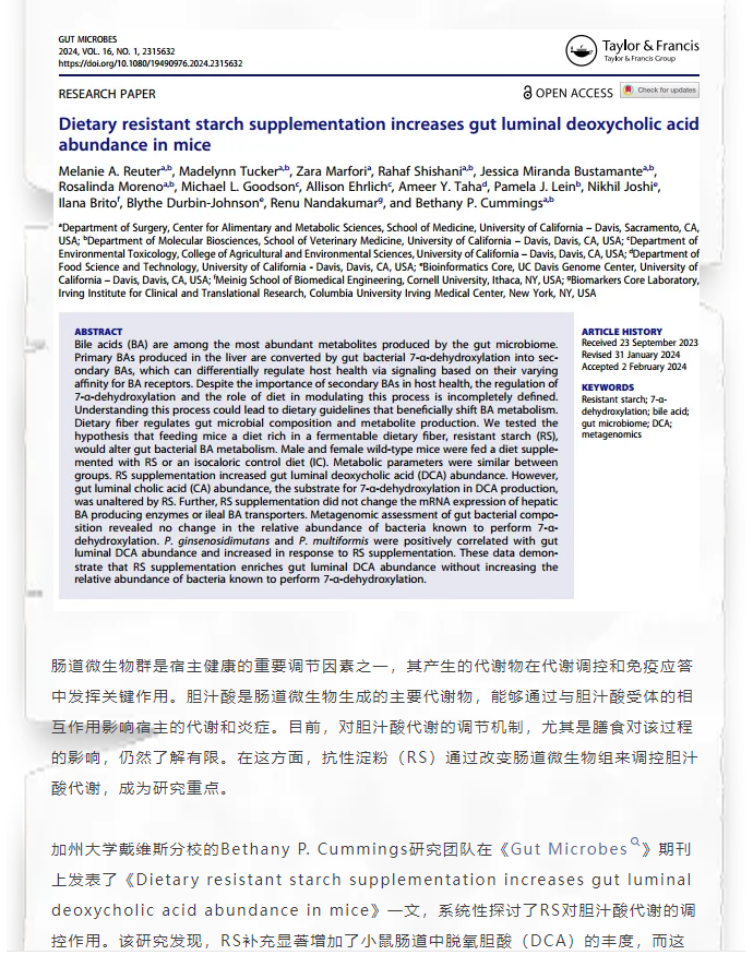 【文献解读】 膳食抗性淀粉补充剂可增加小鼠肠腔内脱氧胆酸的丰富度
